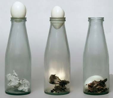 Image result for egg in the bottle